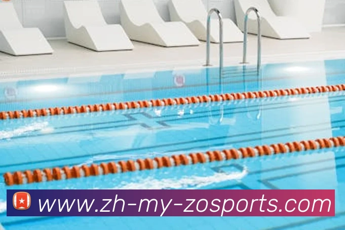 中欧体育平台生态图